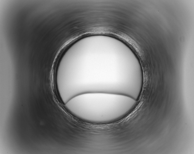 X0000099230982200804241225