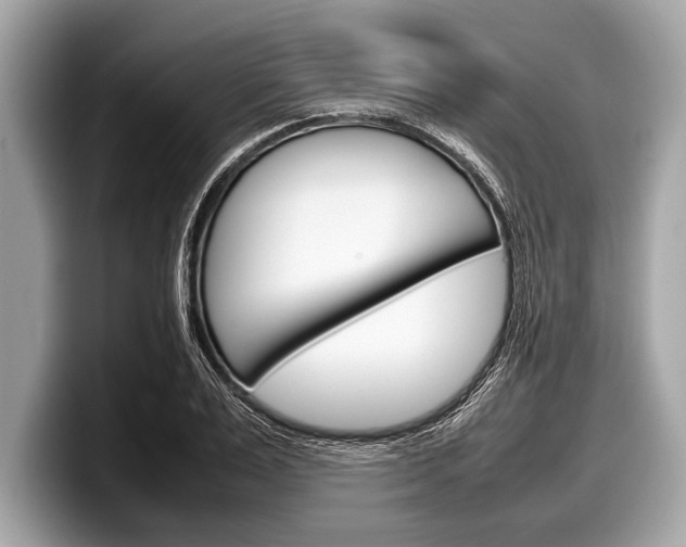 X0000099230983200804241225