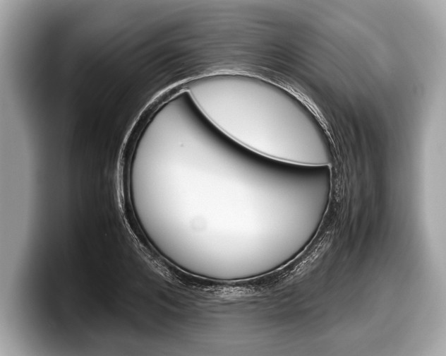 X0000099230984200804241225