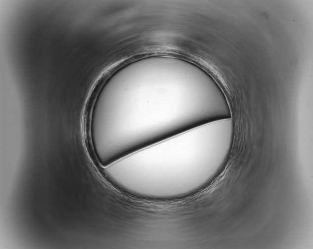 X0000099230987200804241225