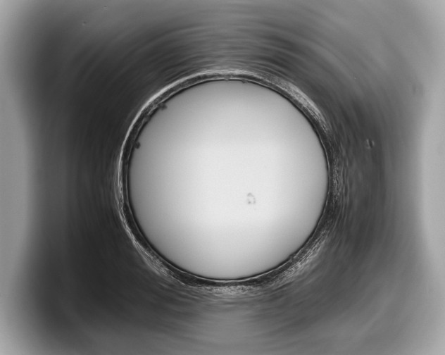 X0000099230988200804241225