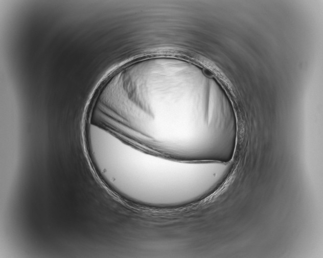X0000099230989200804241225