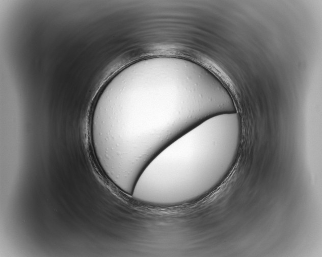 X0000099230994200804241225