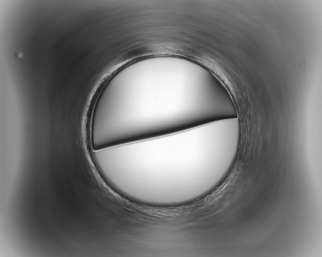 X0000099230995200804241225