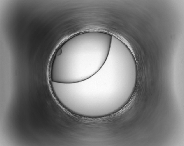 X0000099230997200804241225