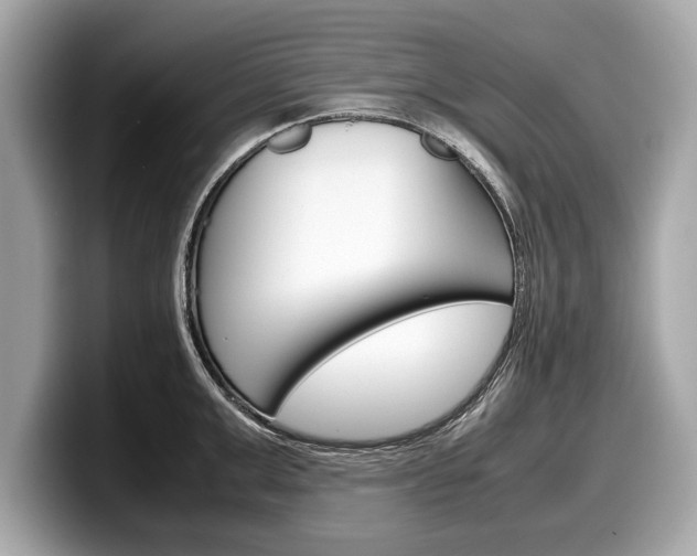 X0000099230999200804241225