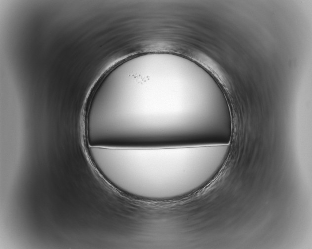 X0000099231000200804241225