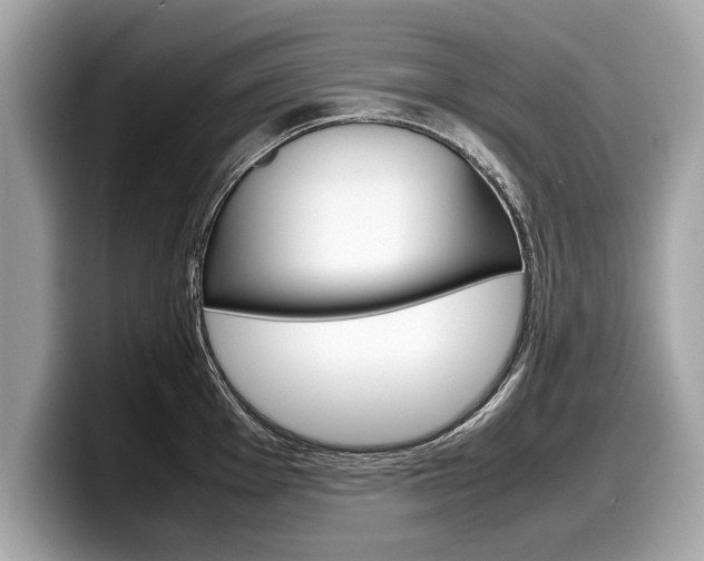 X0000099231001200804241225