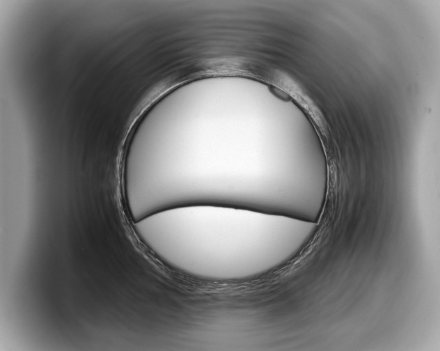 X0000099231002200804241225