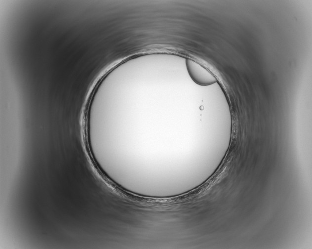 X0000099231003200804241225