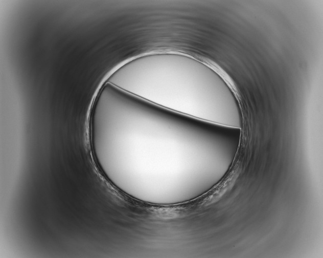 X0000099231004200804241225