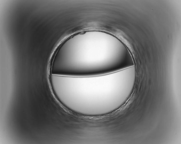 X0000099231005200804241225