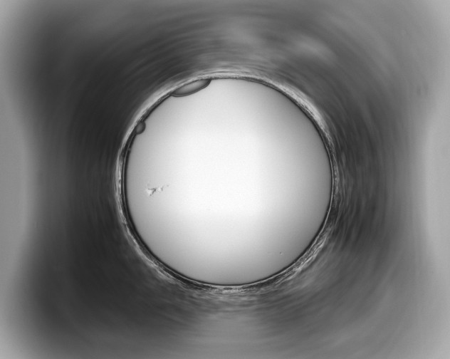 X0000099231006200804241225
