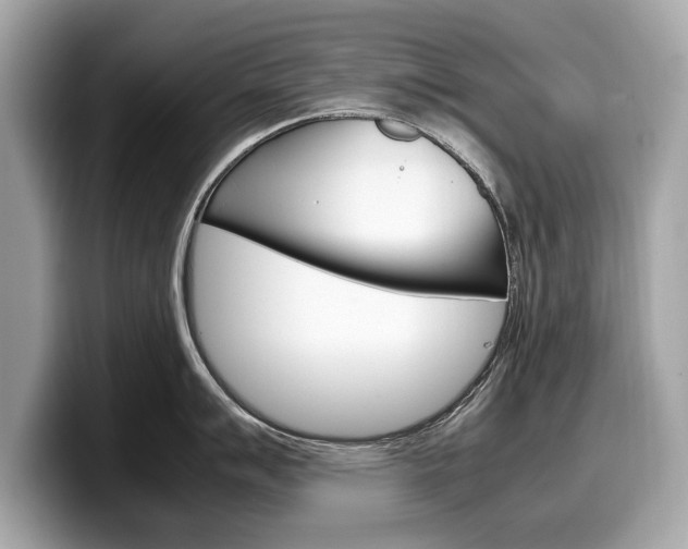 X0000099231007200804241225