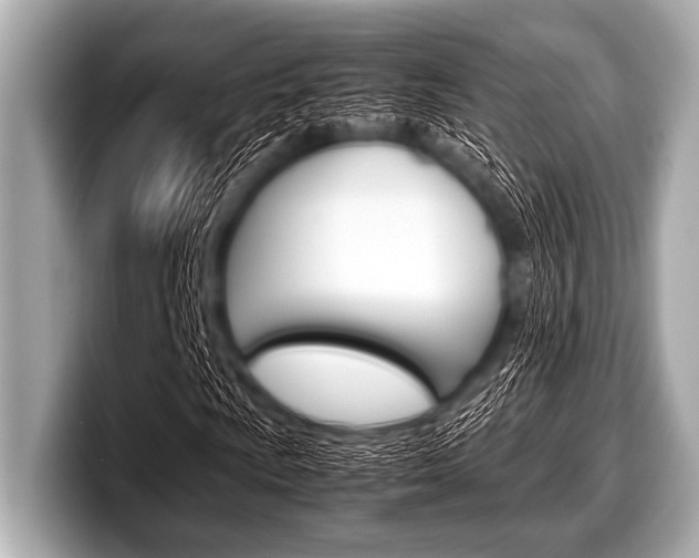 X0000099231009200804241225
