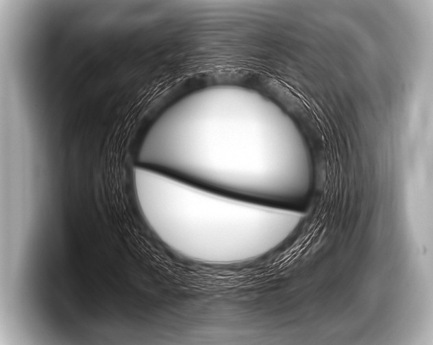 X0000099231010200804241225