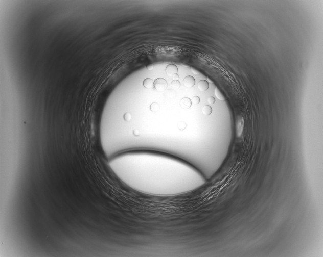 X0000099231011200804241225