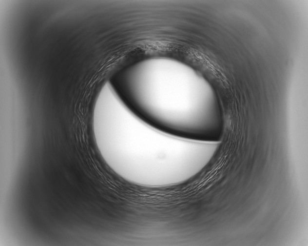 X0000099231012200804241225