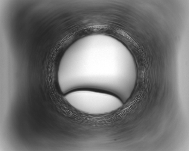 X0000099231014200804241225