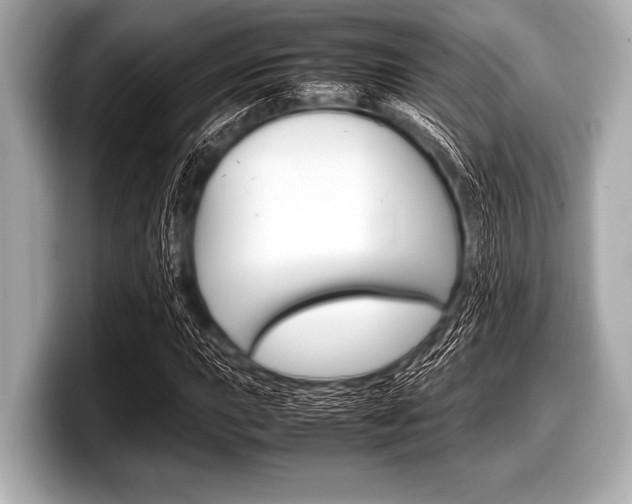 X0000099231015200804241225