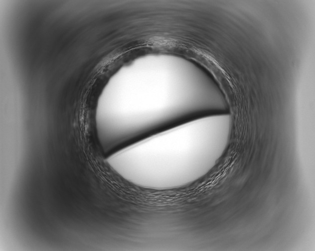 X0000099231016200804241225