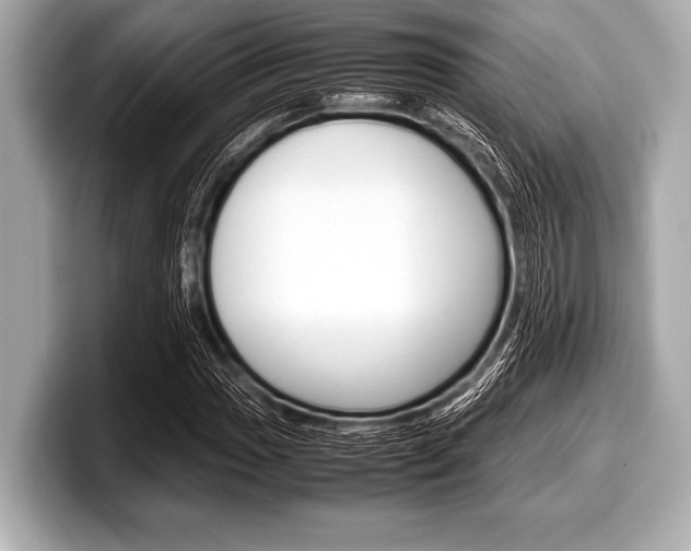X0000099231017200804241225