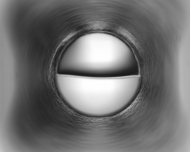 X0000099231018200804241225