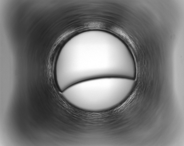 X0000099231019200804241225