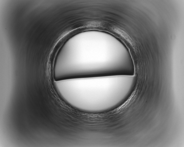 X0000099231021200804241225