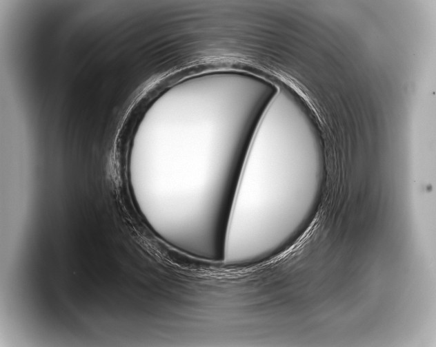 X0000099231022200804241225