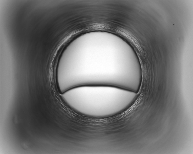 X0000099231023200804241225