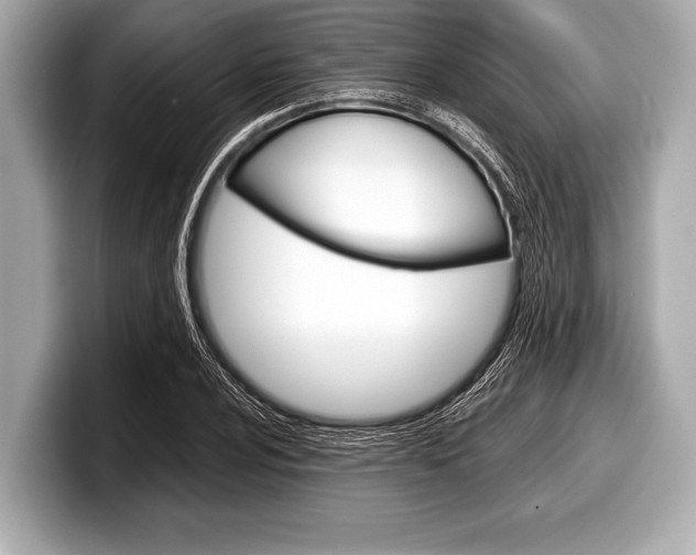 X0000099231024200804241225