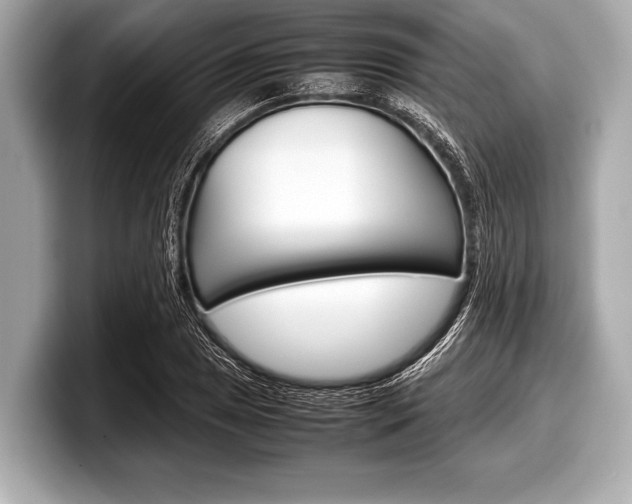 X0000099231025200804241225