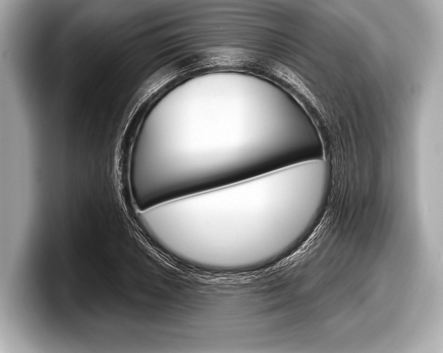 X0000099231026200804241225