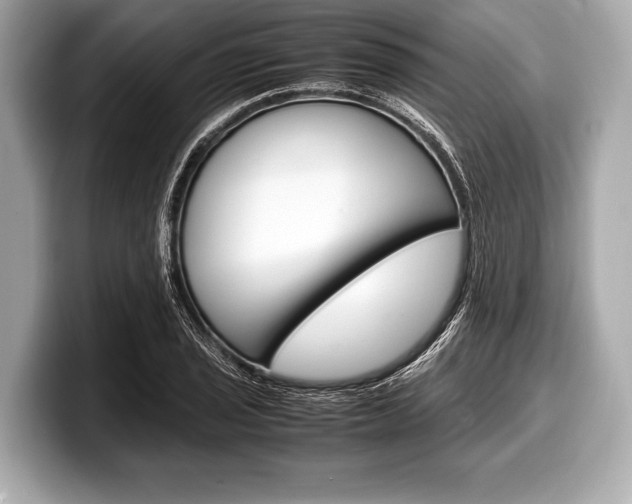 X0000099231029200804241225