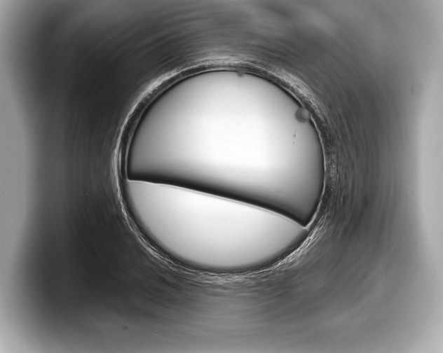 X0000099231030200804241225