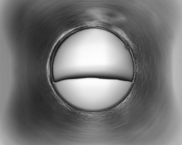 X0000099231032200804241225