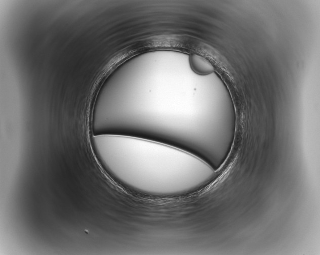 X0000099231033200804241225