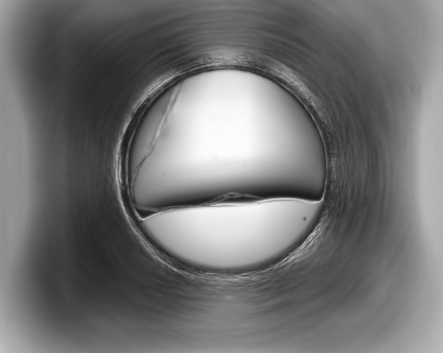 X0000099231034200804241225