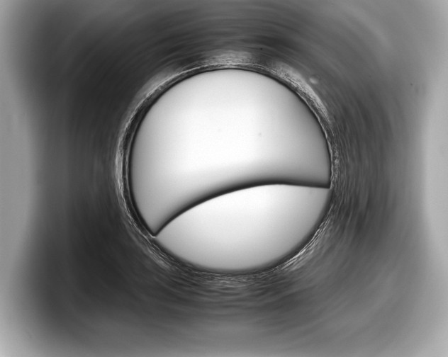X0000099231035200804241225