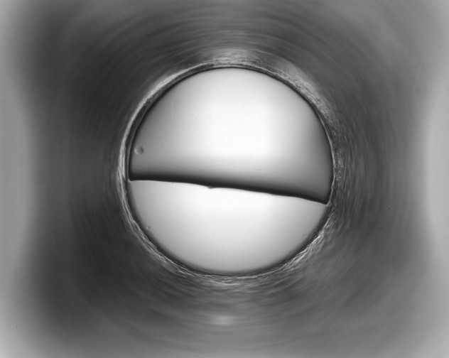 X0000099231036200804241225