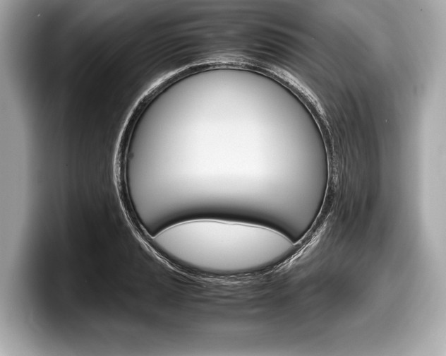 X0000099231037200804241225