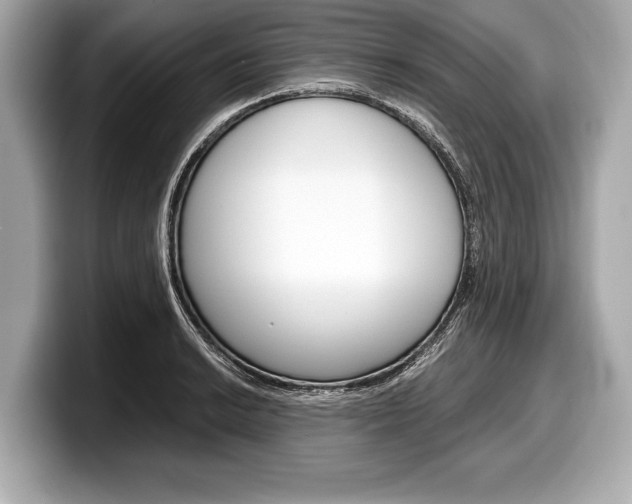 X0000099231038200804241225