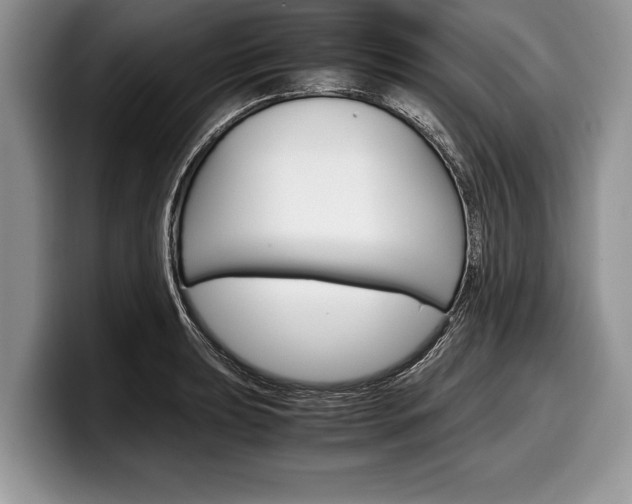 X0000099231039200804241225