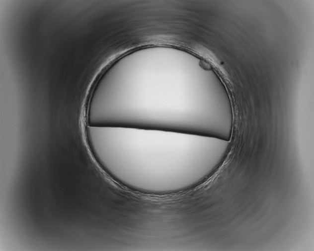 X0000099231040200804241225