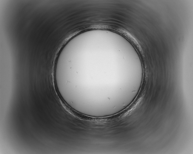 X0000099231041200804241225