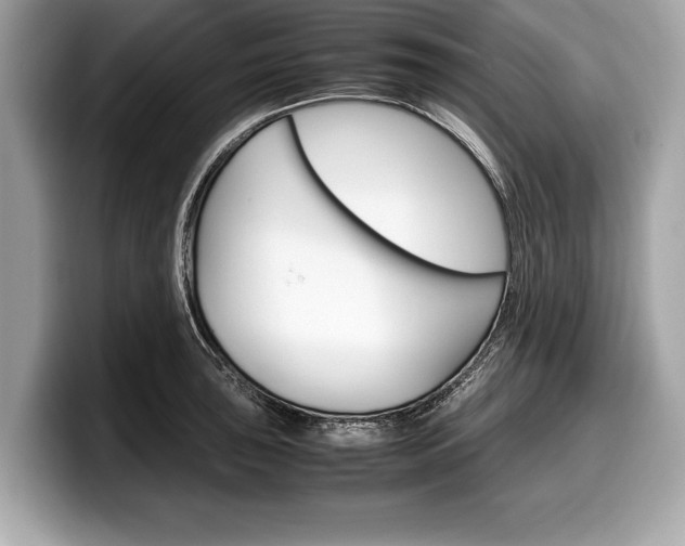 X0000099231043200804241225
