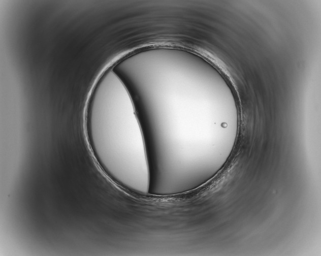 X0000099231045200804241225