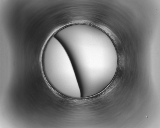 X0000099231046200804241225