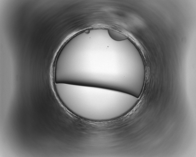 X0000099231048200804241225